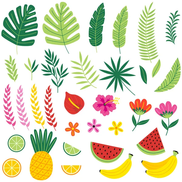 Conjunto de plantas y frutos tropicales aislados — Vector de stock