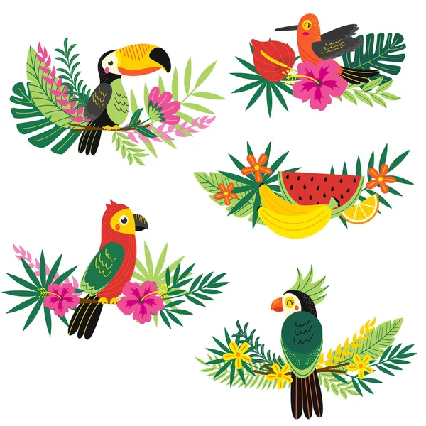 Set of isolated decorative tropical design — Stock Vector