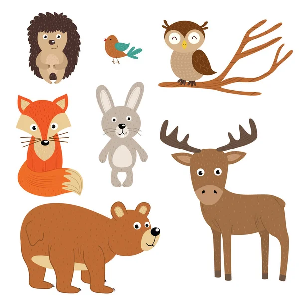 Verzameling van geïsoleerde forest dieren — Stockvector