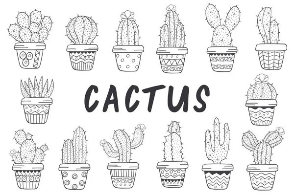 Elszigetelt Kaktusz Fekete Fehér Vektor Illusztráció Eps Csoportja — Stock Vector