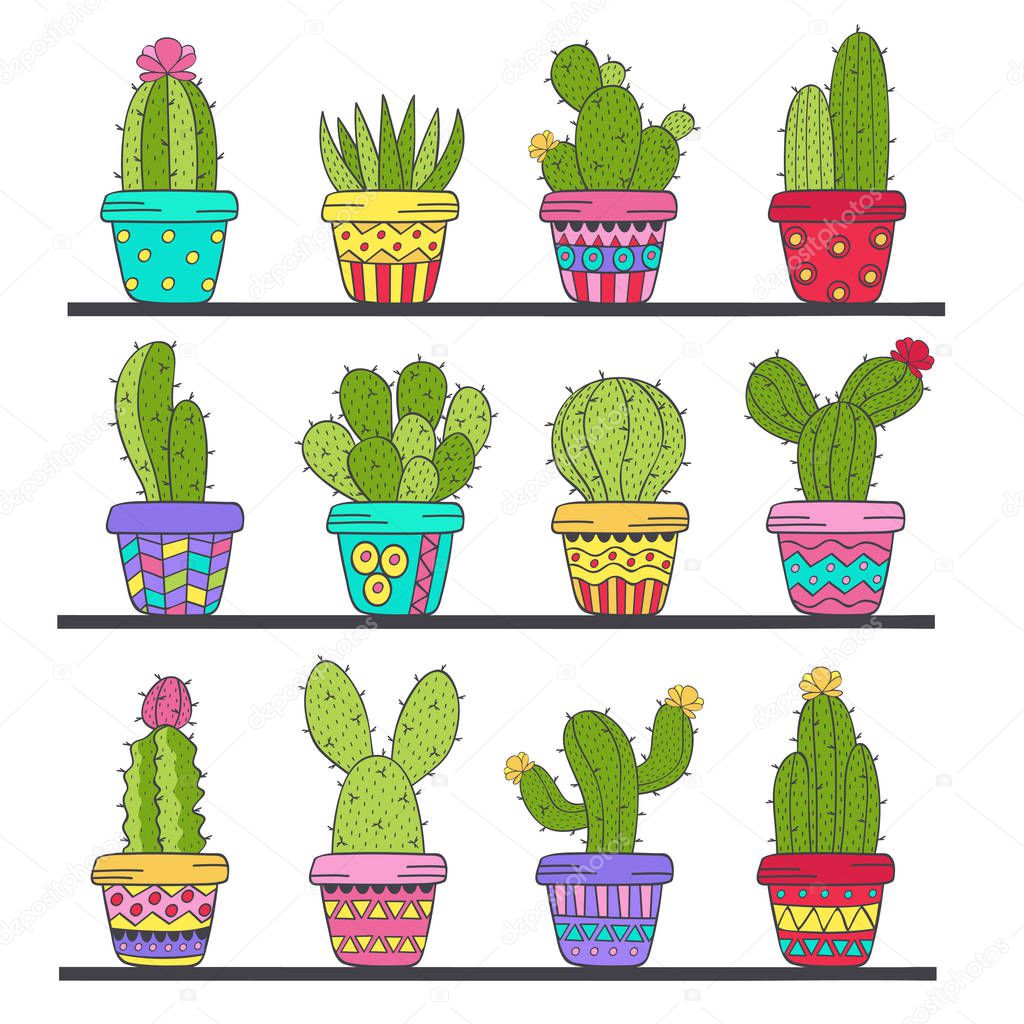 set of isolated cactus in pots on shelf - vector illustration, eps