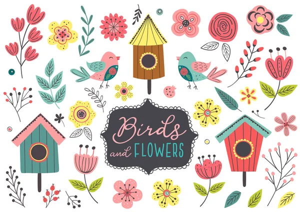 Set Van Geïsoleerde Lente Vogels Bloemen Vector Illustratie Eps — Stockvector