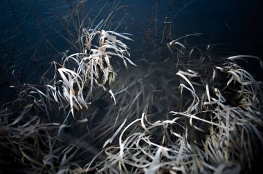 Bahar arka plan - meltinh ve buz çatlamak