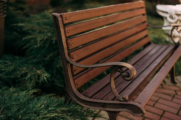 Banco elegante no parque de verão — Fotografia de Stock