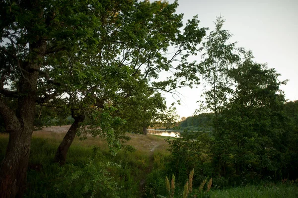 Hermoso paisaje en Bielorrusia durante la tarde de verano . — Foto de Stock