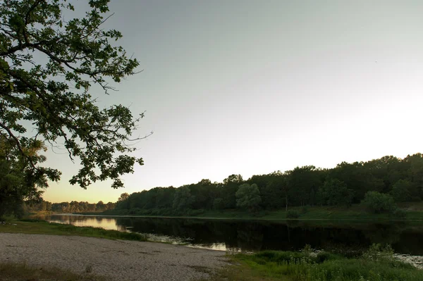 初夏の夕方の間にベラルーシの美しい風景. — ストック写真