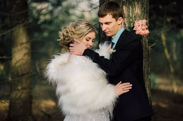 Наречений і наречений в парку цілує.Пара молодих наречених і наречених на весіллі в природі зелений ліс цілує фотопортрет. Весільна пара — стокове фото