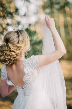 Arka güzel gelin gelin grup ile