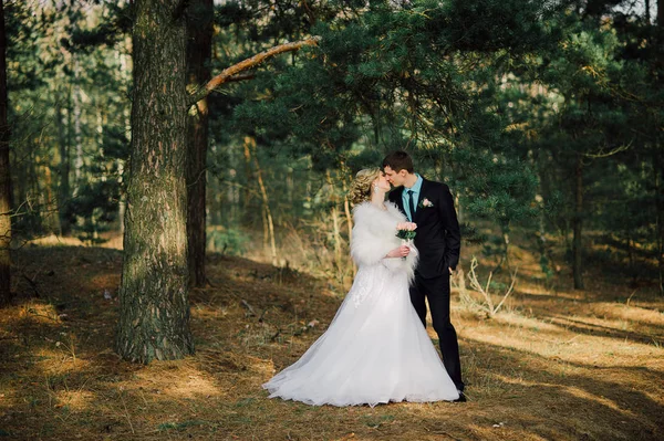 Наречений і наречений в парку цілує.Пара молодих наречених і наречених на весіллі в природі зелений ліс цілує фотопортрет. Весільна пара — стокове фото