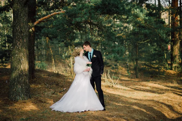 Noiva e noivo em um parque beijo.casal recém-casados noiva e noivo em um casamento na natureza floresta verde estão beijando foto portrait.Wedding Casal — Fotografia de Stock
