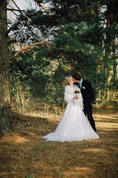 Parktaki gelin ve damat öpüşüyor. Doğadaki bir düğünde gelin ve damat öpüşüyor. Düğün çifti. — Stok fotoğraf