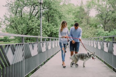 Güzel genç çift bir parkta husky köpeğiyle oynuyor. Summe