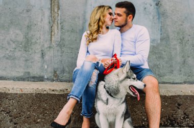 Güzel genç çift bir parkta husky köpeğiyle oynuyor. Summe