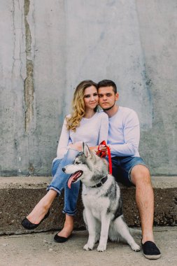 Güzel genç çift bir parkta husky köpeğiyle oynuyor. Summe