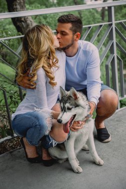 Güzel genç çift bir parkta husky köpeğiyle oynuyor. Summe