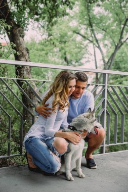 Güzel genç çift bir parkta husky köpeğiyle oynuyor. Summe