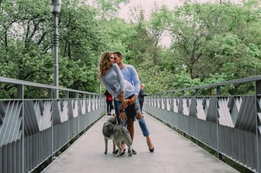 Güzel genç çift bir parkta husky köpeğiyle oynuyor. Summe