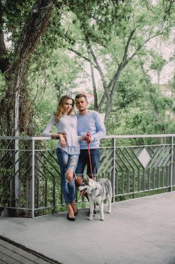 Güzel genç çift bir parkta husky köpeğiyle oynuyor. Summe