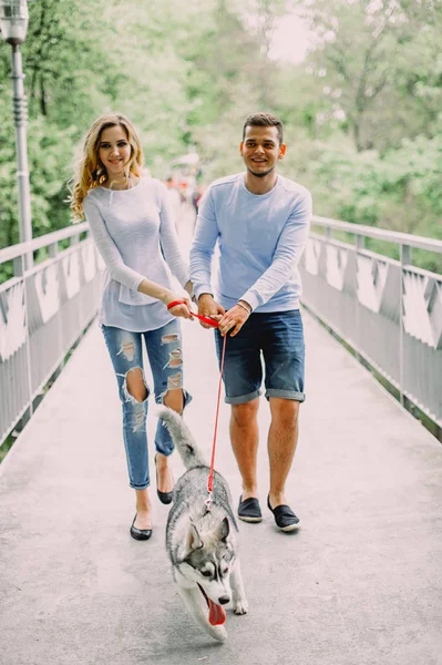 Schönes junges Paar, das mit einem Husky-Hund in einem Park spielt. Summen — Stockfoto