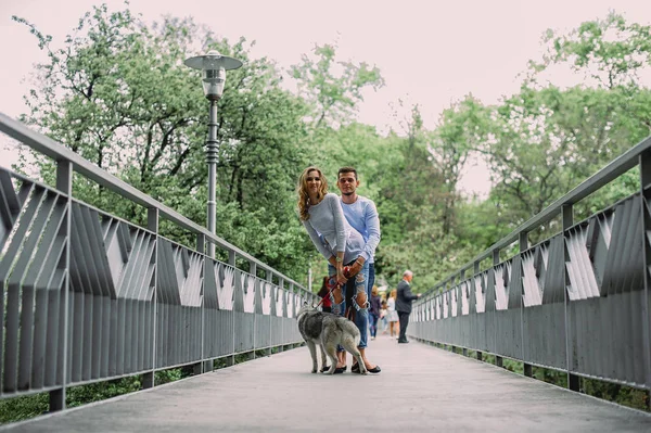 Schönes junges Paar, das mit einem Husky-Hund in einem Park spielt. Summen — Stockfoto