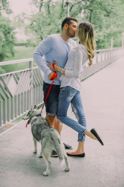 Schönes junges Paar, das mit einem Husky-Hund in einem Park spielt. Sommer im Freien. — Stockfoto