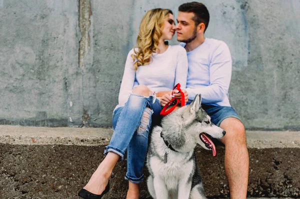 Güzel genç çift bir parkta husky köpeğiyle oynuyor. Summe