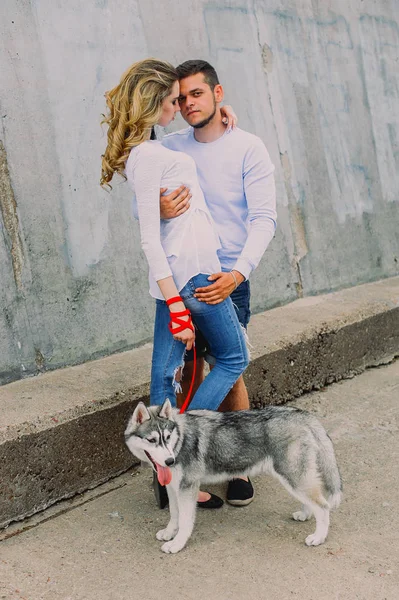 美しい若いカップルが公園でハスキー犬と遊ぶ。夏 — ストック写真