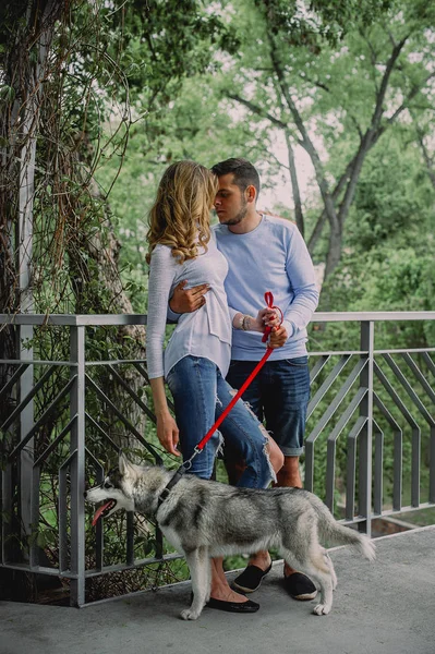 美しい若いカップルが公園でハスキー犬と遊ぶ。夏 — ストック写真