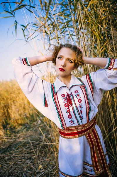 국가 벨로루시 옷 여름 필드에 어린 소녀 — 스톡 사진