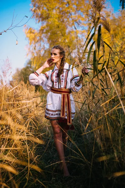Młoda dziewczyna na polu lato w Narodowej Białorusi ubrania — Zdjęcie stockowe