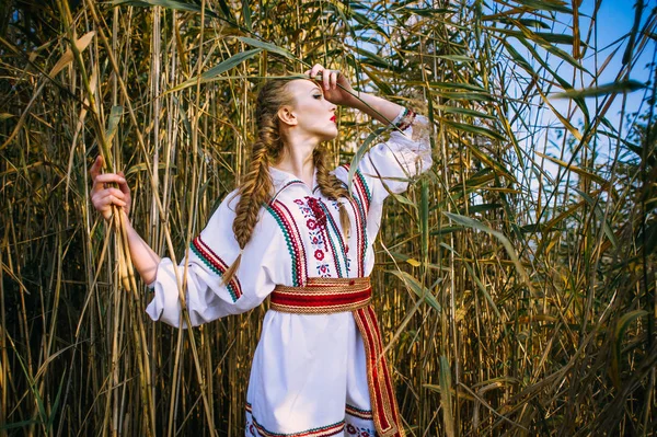 Jong meisje op het veld van de zomer in nationale kleding van Wit-Rusland — Stockfoto