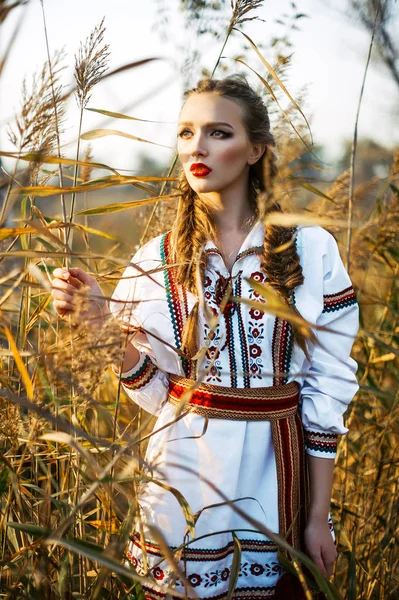 Młoda dziewczyna na polu lato w Narodowej Białorusi ubrania — Zdjęcie stockowe