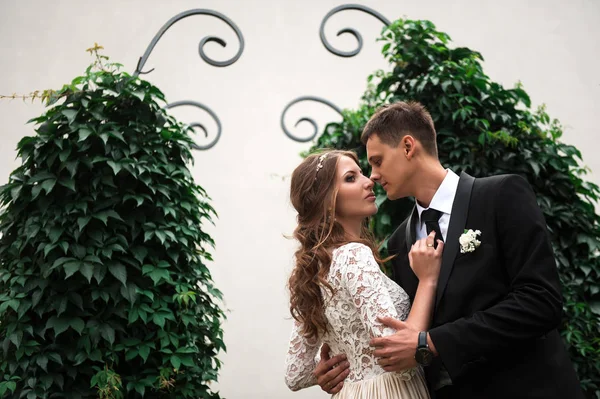 Gelin ve damat düğün töreninde arch yakınındaki standı.