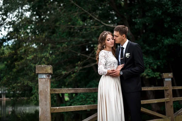 mutlu gelin ve Damat Düğün günü üzerinde bir park