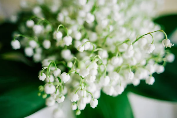 Bloeiende lelie van de vallei in het forest. Lelietje-van-dalen. Convallaria majalis. Lente achtergrond. Florale achtergrond. Selectieve aandacht. — Stockfoto