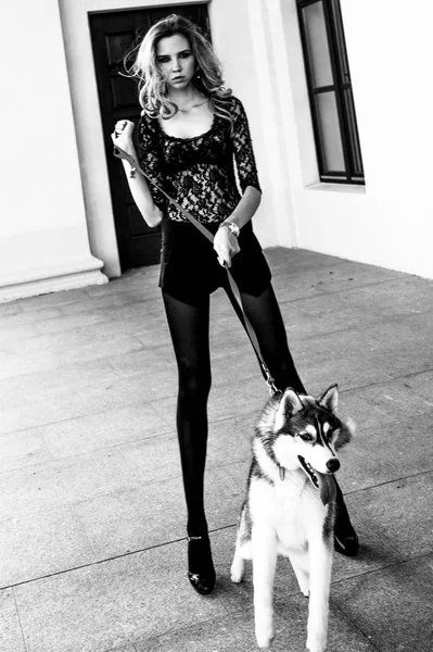 Das Mädchen mit dem sibirischen Husky. entzückendes Mädchen spielt mit einem sibirischen Husky. Mädchen beim Gassigehen mit einem Jagdhund - dem Westsibirischen Husky. Nahaufnahme. Modefoto, Schwarz-Weiß-Aufnahme. — Stockfoto