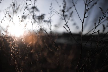 Sping arka plan - nehir, göl, kar, erime, ısınma, environm