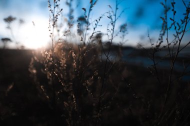 Sping arka plan - nehir, göl, kar, erime, ısınma, environm