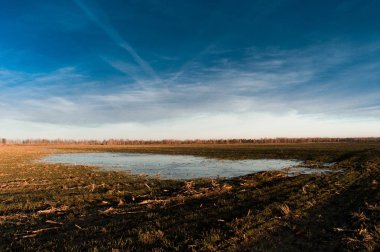 Sping arka plan - nehir, göl, kar, erime, ısınma, environm
