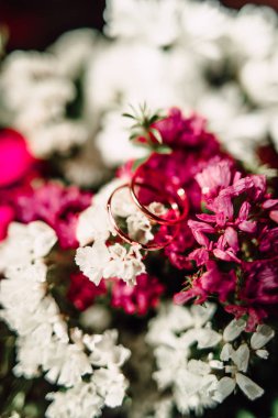 Çiçekteki alyanslar