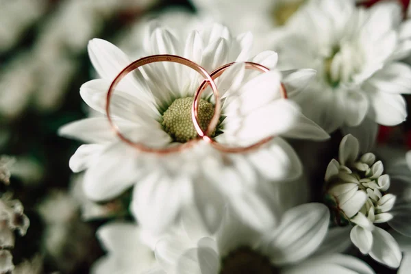 Anéis de casamento em uma flor — Fotografia de Stock
