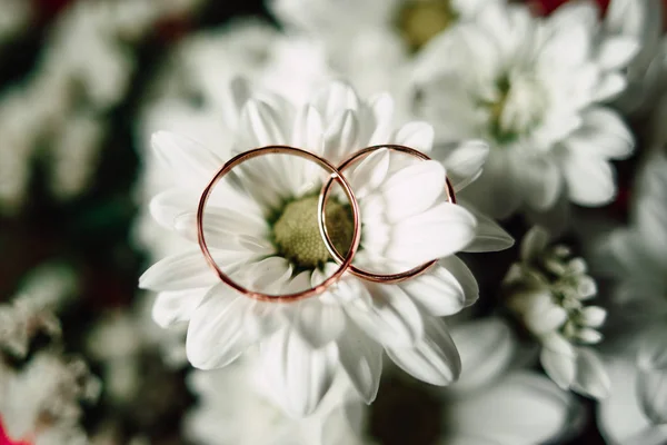 Anillos de boda en una flor — Foto de Stock