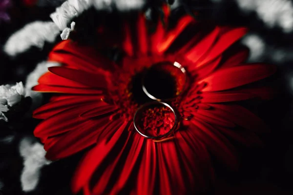 花の上の結婚指輪 — ストック写真