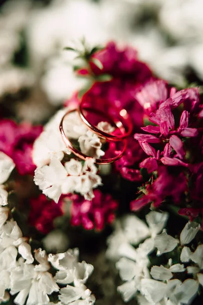 Anéis de casamento em uma flor — Fotografia de Stock