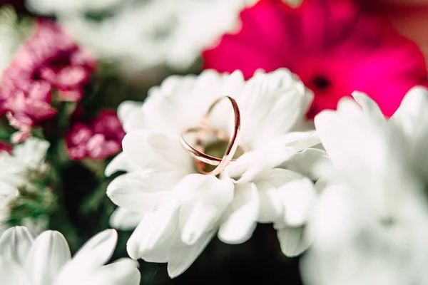 Anéis de casamento em uma flor — Fotografia de Stock