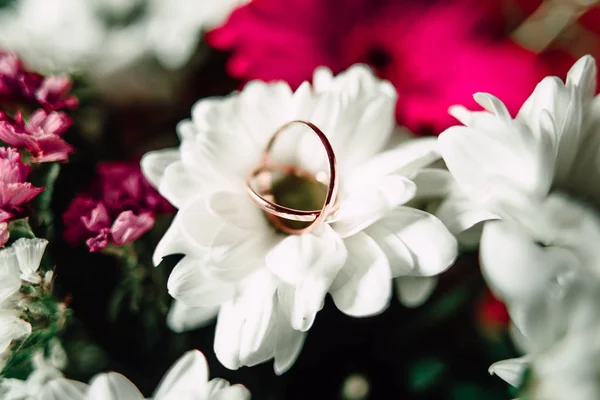 Anéis de casamento em uma flor — Fotografia de Stock