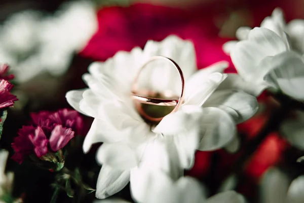 Anéis de casamento em uma flor — Fotografia de Stock