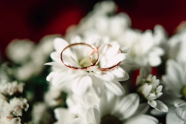 Anillos de boda en una flor — Foto de Stock