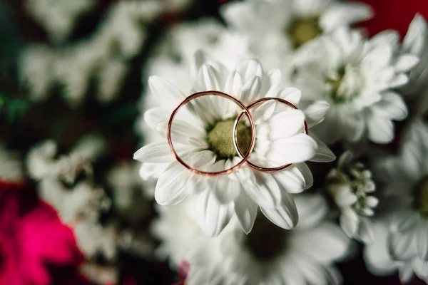 Βέρες σε ένα λουλούδι — Φωτογραφία Αρχείου