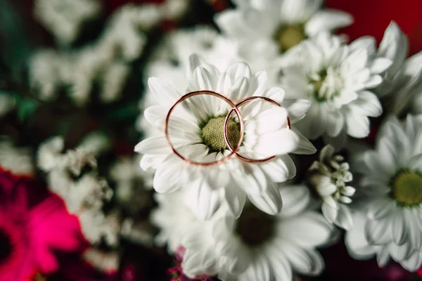 Anéis de casamento em uma flor — Fotografia de Stock